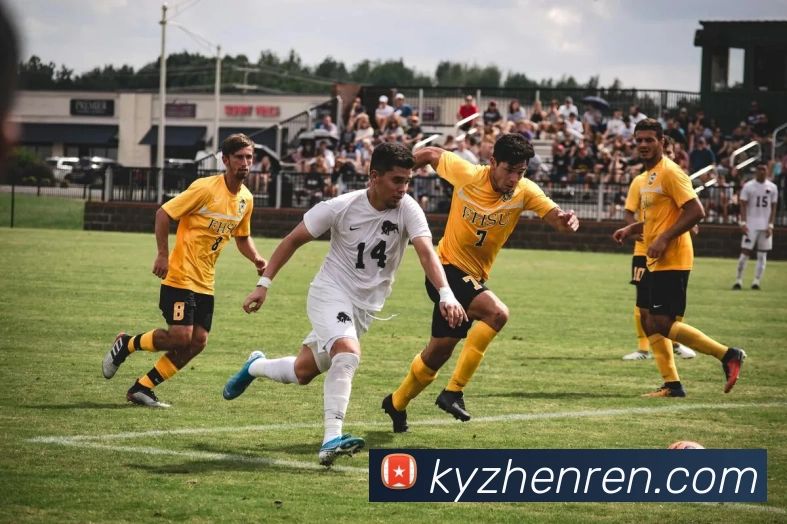 开运真人品牌故事